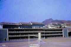 ���� ������ ��� ��� ����